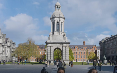 Trinity College Dublin and Microsoft Ireland report widening AI skills gap between Irish SMEs and large firms