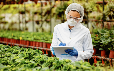 Quality at the Source: How Foods Connected's Acquisition Is Redefining Food Supply Chain Procurement