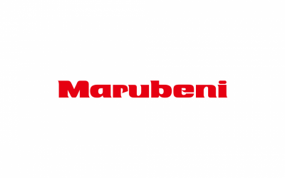 Marubeni takes full ownership of US aviation parts distributor DASI