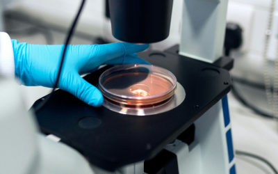 Zepzelca phase III setback raises questions for lung cancer