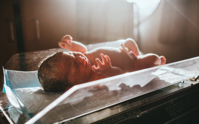 Ireland’s New Fertility Regulator Opens a Licensing Era That Private Clinics Should Treat as a Commercial Opportunity