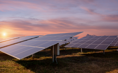 Irish grid-scale solar output rises 58 percent over summer