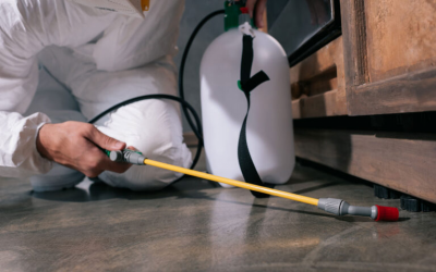 Crystal Facilities Management expands pest control division across Saudi Arabia