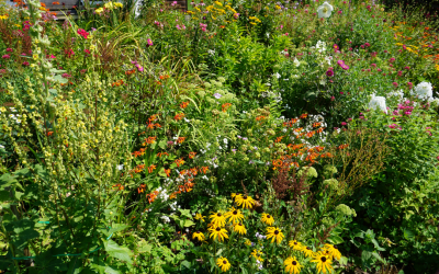 Landscape architect expands native plant operations in Washington State