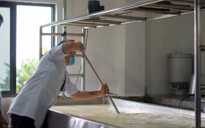 Shandong Zhongxin Food Group launches BRCGS certification drive across 13 branch companies