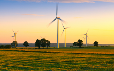 Amazon agrees 36MW Shetland wind power deal with Statkraft