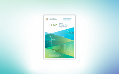 Ireland’s Large Energy User Action Plan Is a Commercial Framework for the Next Generation of Industrial Infrastructure