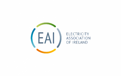 Electricity Association of Ireland elects Brendan Kelly as chair and Kevin Hannafin as vice-chair