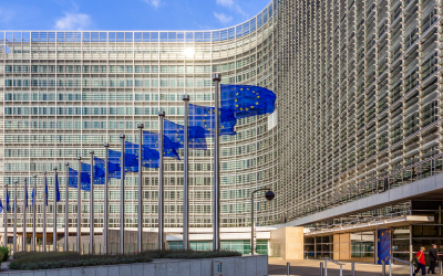 Irish Research Wins Four ERC Grants, and the Real Story Is What Comes Next