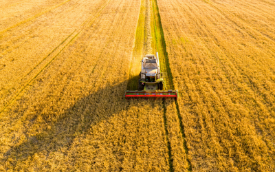 Cold Chain as Commercial Strategy: Why Irish Logistics and Transport Operators Must Build Agri-Food Logistics Capability Now