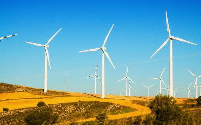 OnPath Energy pursues new sites despite wind revenue dip