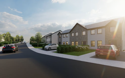 Roche Group funds Limerick housing scheme through crowdfunding