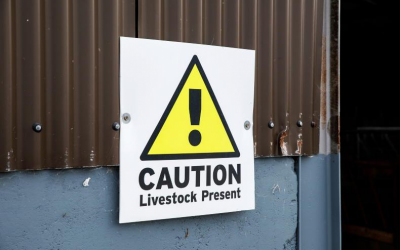 Strengthening Farm Safety in Ireland Starts with Practical Guidance and Shared Responsibility