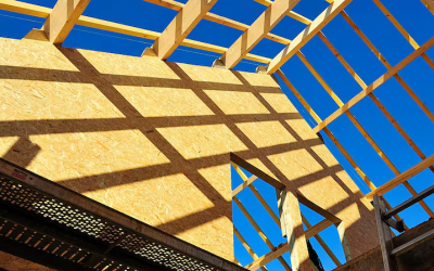 Wood-First Must Mean Procurement First to Deliver on Ireland's Timber Ambition