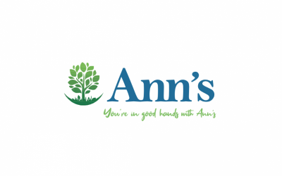 Ann's Care Homes submits plans for £7m nursing facility beside Craigavon Area Hospital