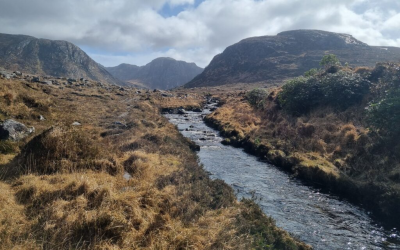 Ireland’s Water Quality Report 2025 Documents a Replicable Catchment Success and a Clear Commercial Agenda