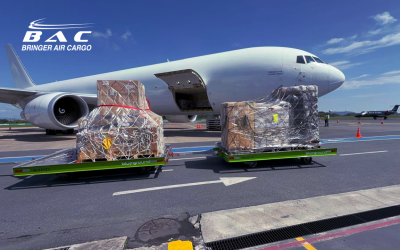 SmartKargo collaborates with Bringer Air Cargo to advance integrated cargo operations