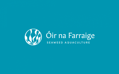 Óir na Farraige leads €1.5m EU project to scale seaweed cultivation for bio-based industries