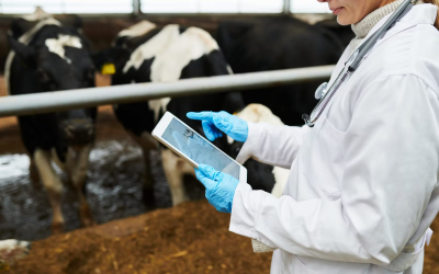 Veterinary Council of Ireland appoints Brownlee as CEO and registrar