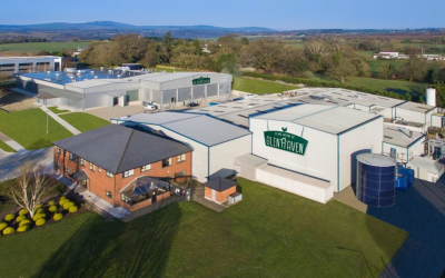 Scandi Standard expands Irish poultry manufacturing with Glenhaven deal