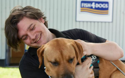 Fish4Dogs allows staff to bring dogs to work
