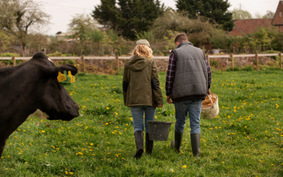 Farm safety initiative targets safer social farming and open-day practices