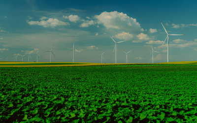 Ireland’s Emissions Progress Puts Smarter Procurement in the Spotlight