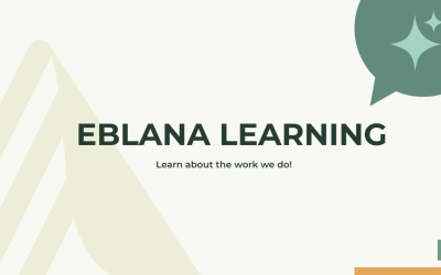 Eblana Learning develops primary school AI curriculum following positive Trinity College Dublin review