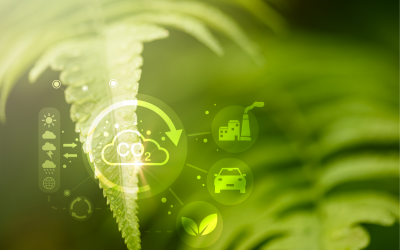 Ireland’s GHG Emissions Projections 2025–2055 Define the Commercial Agenda for the Green Sector Through 2030