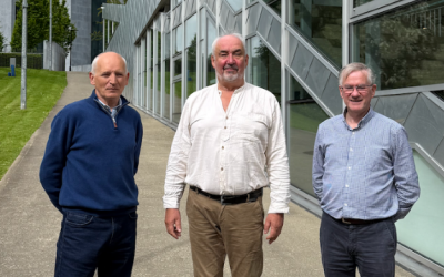 Fréamha Housing Association launches 2026–2030 strategic plan and organisational rebrand