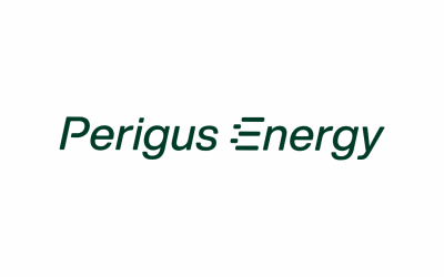 Perigus Energy names new chief commercial officer