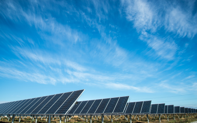 Beyond the Panels: Why Battery Storage Is the Next Major Commercial Frontier for Irish Business Energy Leaders