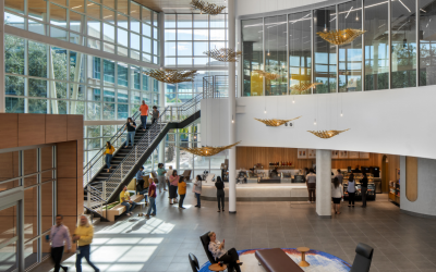 Health Pays Back: How the Business Case for Healthy Buildings Reshapes the Irish Fitout Brief