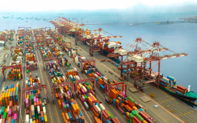 DP World partners with Al Dahra to develop agri-logistics infrastructure across Gulf region