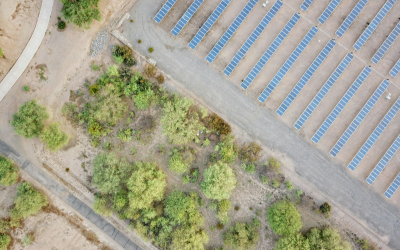 Octopus Energy Generation invests in three Irish solar farms