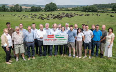Dairygold and Teagasc launch four-year programme to advance sustainable dairy farming