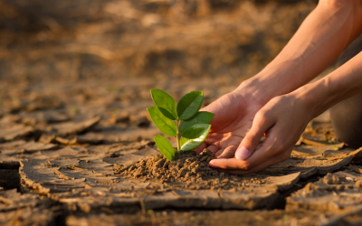 DETE Climate Action Roadmap 2025 Confirms Ireland’s €300 Million Enterprise Sustainability Support Package Is Fully Operational