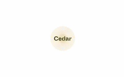 BeZero Carbon acquires AI climate data startup Cedar to strengthen carbon market due diligence tools
