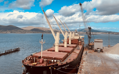 Greenore Port puts video technology at the heart of crane safety