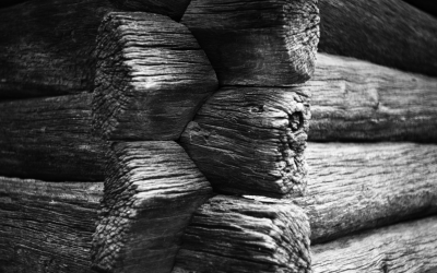 Timber Rising: Why Ireland's Log Home Surge Is the Building Sector's Most Commercially Compelling Green Brief