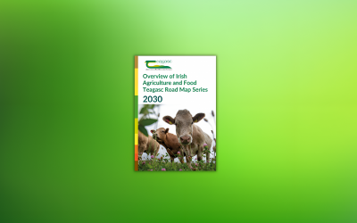 Teagasc Road Map Series 2030 Confirms Ireland’s €19 Billion Agri-Food Sector Is Building the World’s Most Credible Sustainable Food Proposition