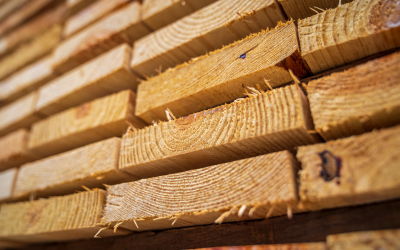 Ireland’s Timber Push Gives Public Procurement a New Opportunity to Shape Sustainable Construction