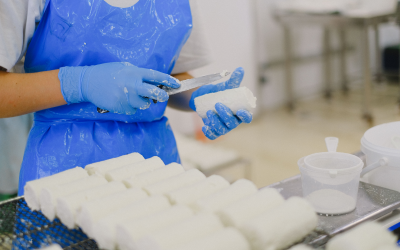 Automation and hygienic conveyor systems support safer food manufacturing operations