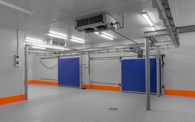 Cold Chain as Competitive Advantage: Why Irish Logistics and Transport Operators Must Invest in the Pharmaceutical Supply Chain