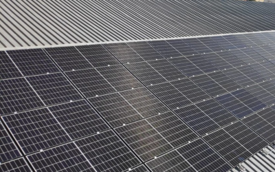 Pinergy targets 40 MWp commercial solar expansion and appoints new head of commercial development