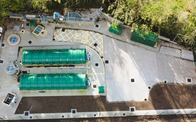 Avove records fourth straight year of revenue and profit growth with £226.5m turnover