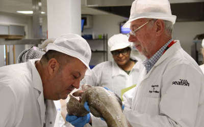 Seafish secures funding to expand seafood workforce training
