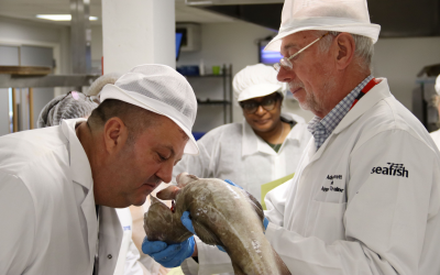 Seafish secures £1.4 million training grant as UK seafood sector faces workforce contraction