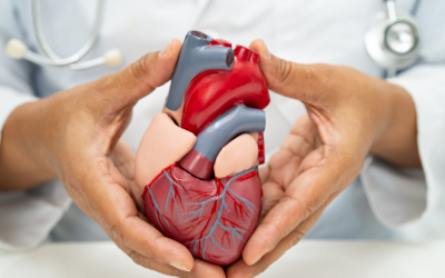 Ireland’s National Cardiac Services Review Sets a Reform Agenda That Private Hospitals Must Position Themselves Within