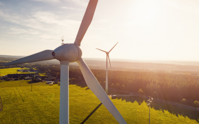 Wind farms supply third of Ireland's electricity as capacity exceeds 5,000 megawatts